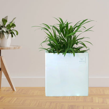 Kezevel Indoor Outdoor FRP Planters - Lightweight Durable Matte White Square Flower Pot, Tree Planter for Garden Home Decor