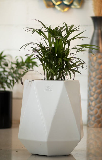 Kezevel Indoor Outdoor FRP Planters - Lightweight Durable Matte White Diamond Flower Pot, Tree Planters Garden Home Décor